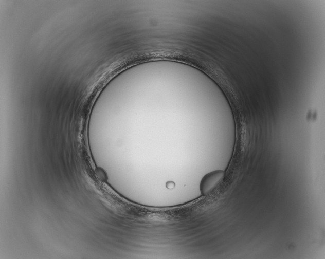 X0000110730490200906121314