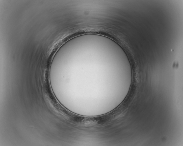 X0000110730491200906121314
