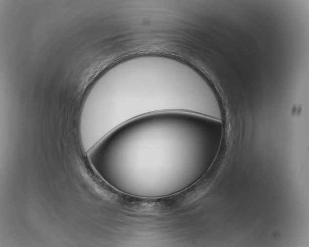 X0000110730493200906121314