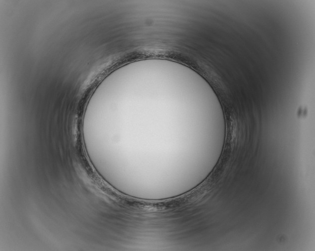 X0000110730494200906121314