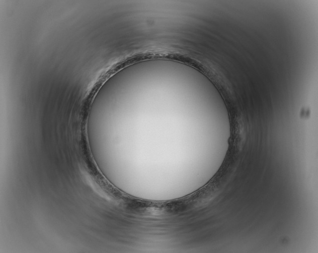 X0000110730496200906121314