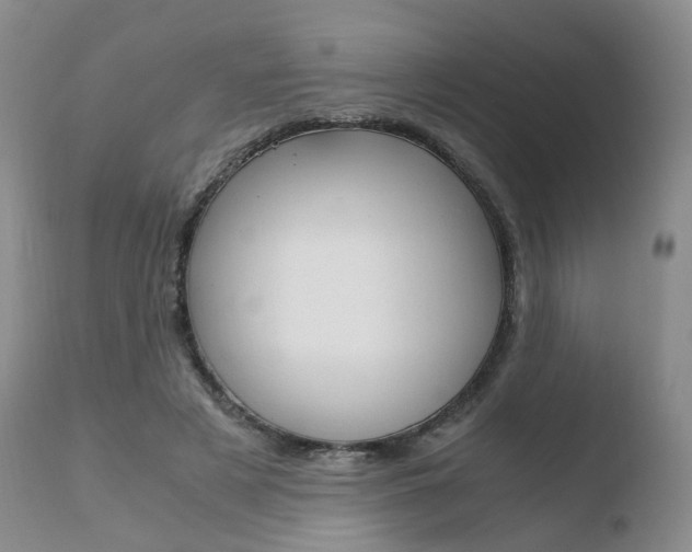 X0000110730497200906121314