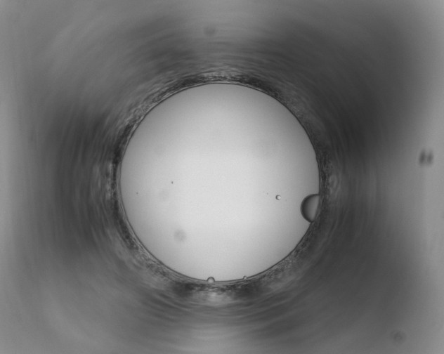X0000110730498200906121314