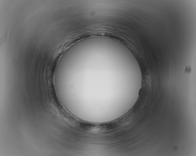 X0000110730504200906121314