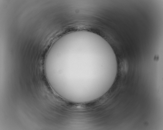 X0000110730506200906121314