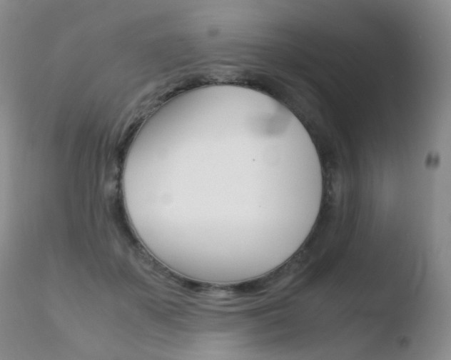 X0000110730507200906121314