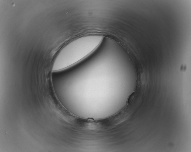 X0000110730508200906121314