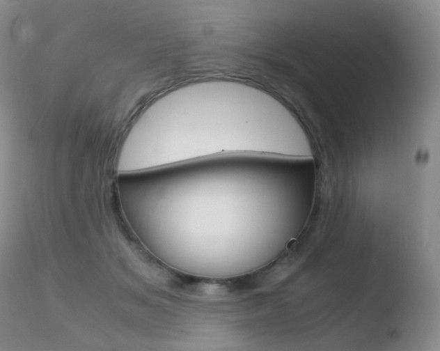X0000110730509200906121314
