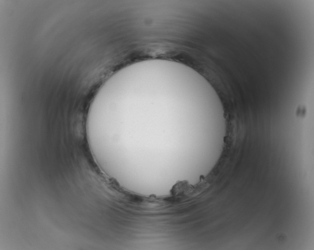 X0000110730510200906121313