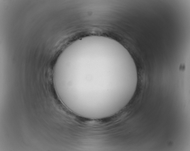 X0000110730511200906121313