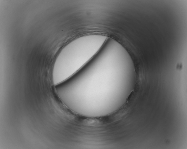 X0000110730512200906121313