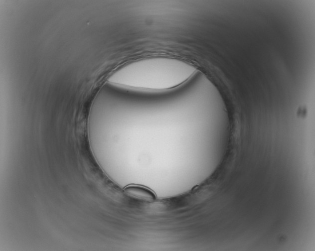 X0000110730513200906121313