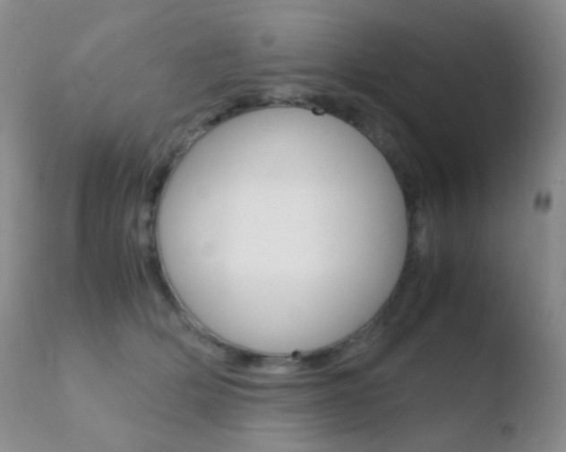 X0000110730514200906121313
