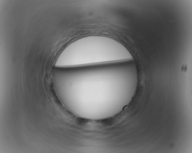X0000110730515200906121313