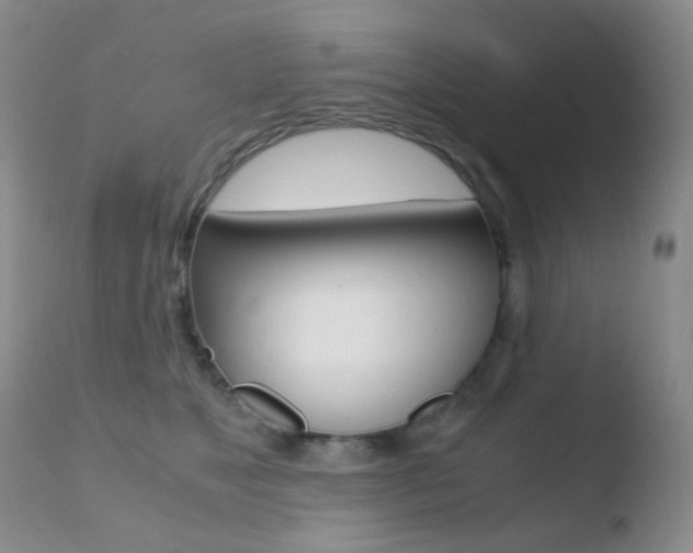 X0000110730517200906121313