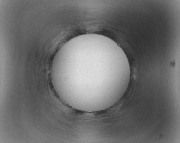 X0000110730519200906121313