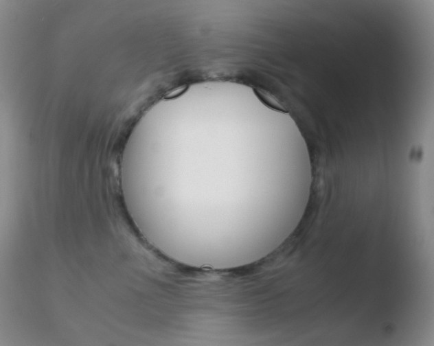 X0000110730523200906121313