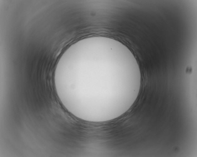 X0000110730524200906121313