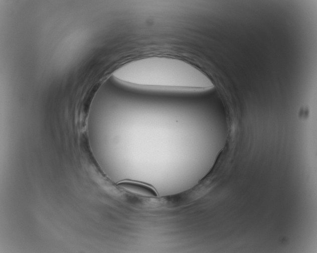 X0000110730525200906121313