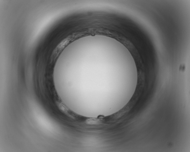 X0000110730526200906121313