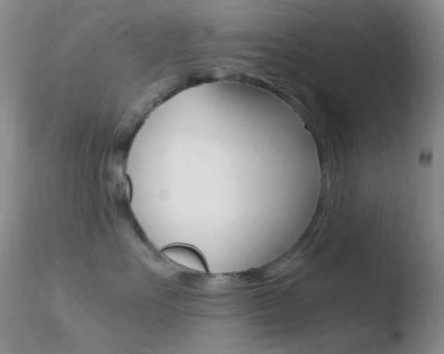 X0000110730527200906121313