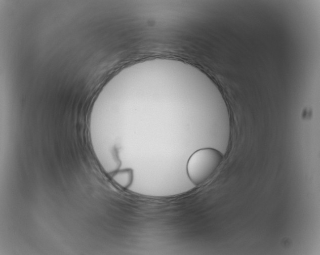 X0000110730528200906121313