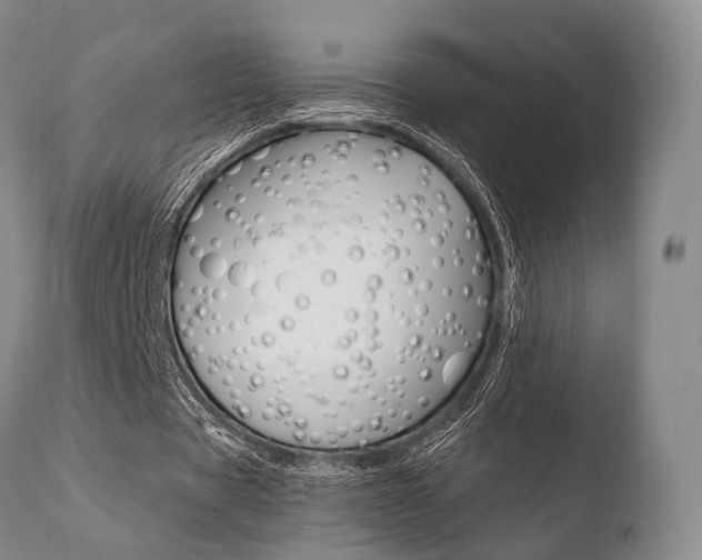 X0000110730529200906121313