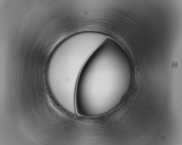 X0000110730530200906121313