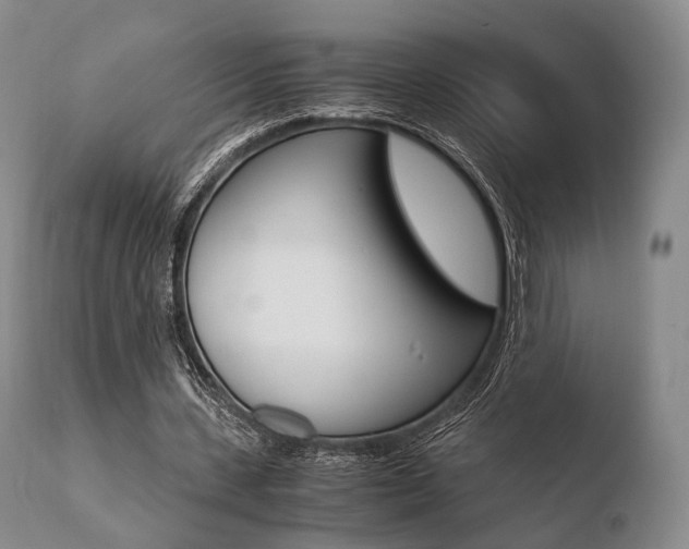 X0000110730531200906121313