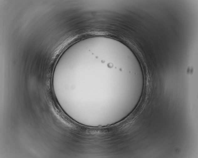 X0000110730533200906121313