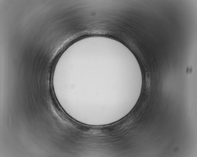 X0000110730534200906121313