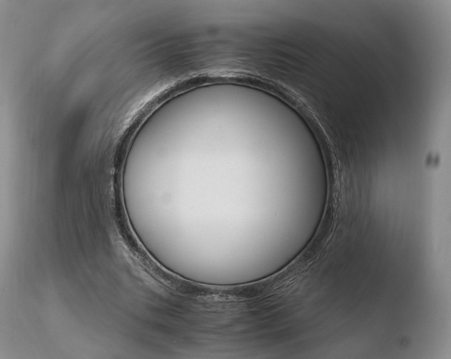 X0000110730535200906121313