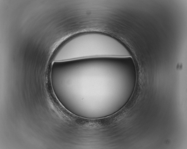 X0000110730536200906121313