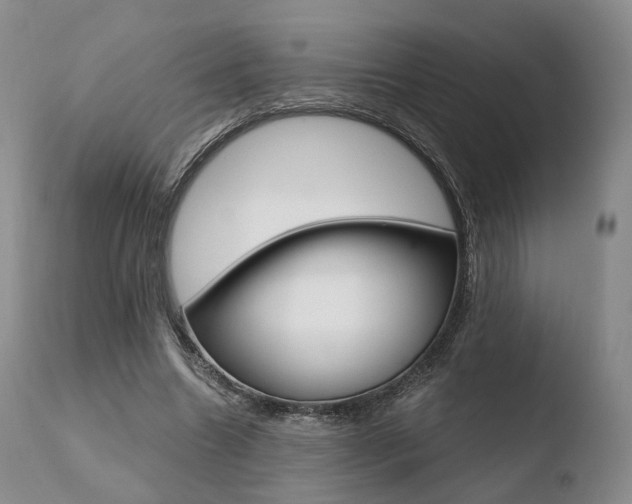 X0000110730538200906121313
