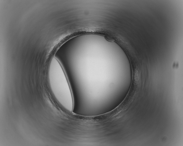 X0000110730540200906121313