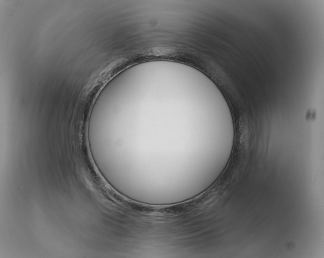X0000110730542200906121313