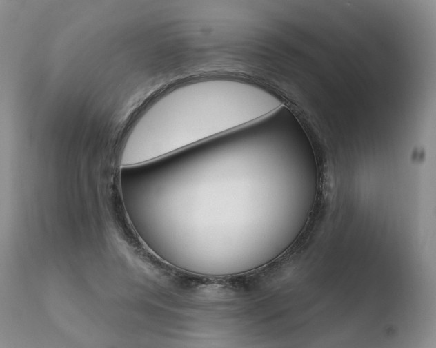 X0000110730544200906121313