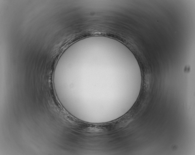 X0000110730545200906121313