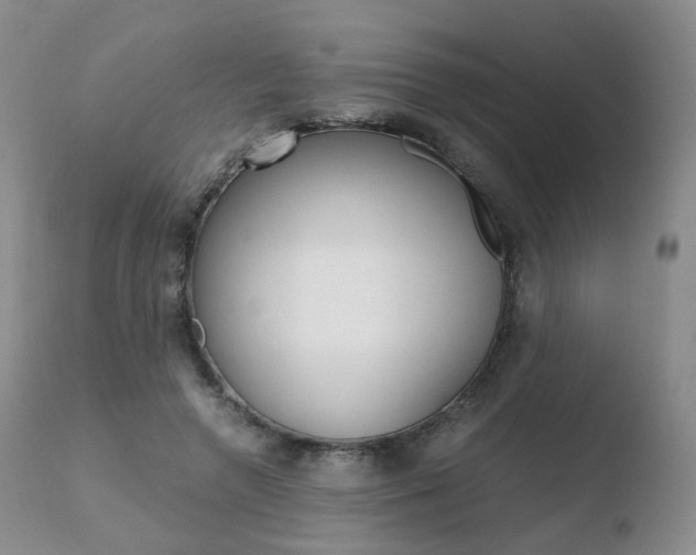 X0000110730546200906121313