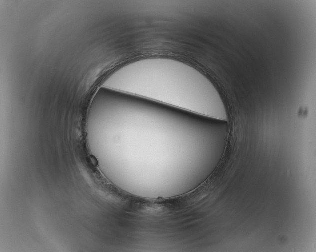 X0000110730547200906121313