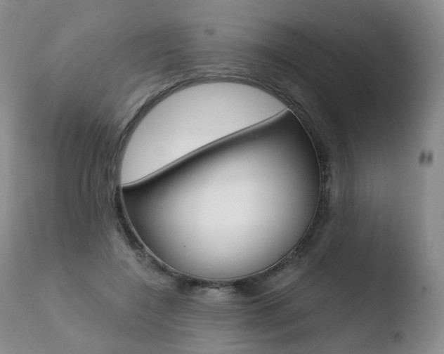 X0000110730548200906121313