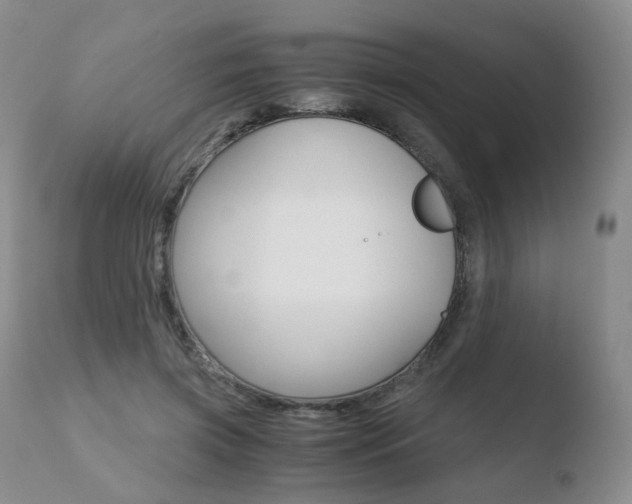 X0000110730549200906121313