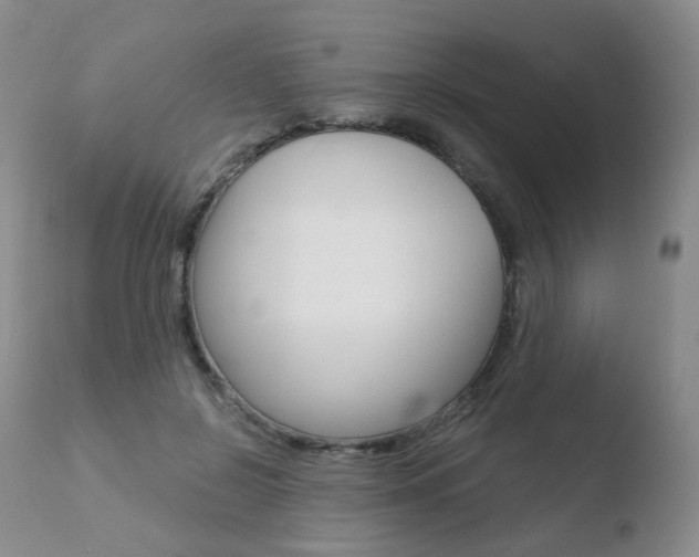 X0000110730550200906121313