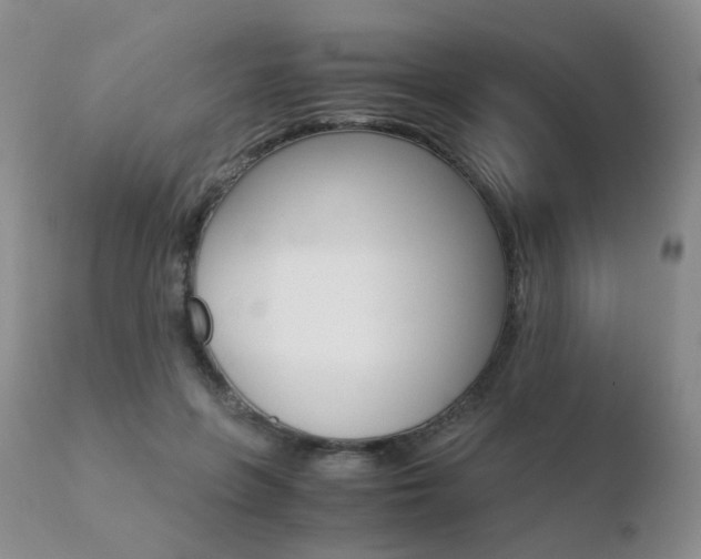 X0000110730551200906121313