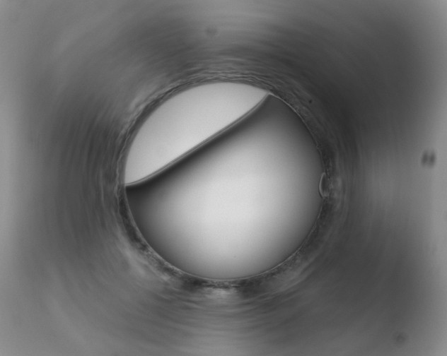 X0000110730552200906121313