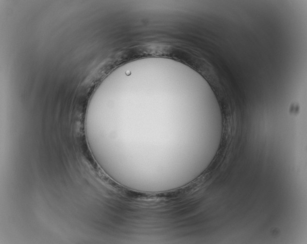 X0000110730553200906121313