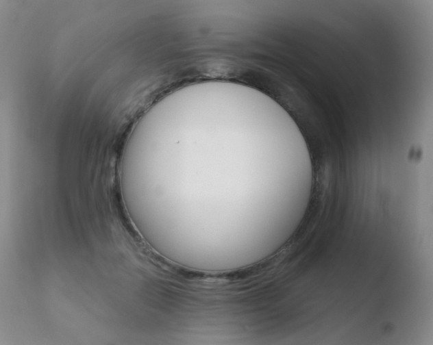 X0000110730554200906121313