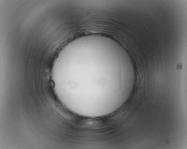 X0000110730555200906121313