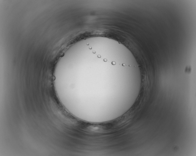 X0000110730557200906121313