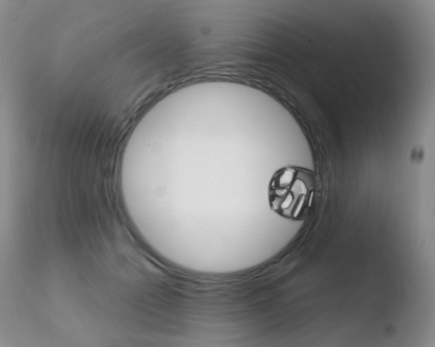 X0000110730558200906121313